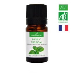 Huile Essentielle BIO de  Basilic Tropical